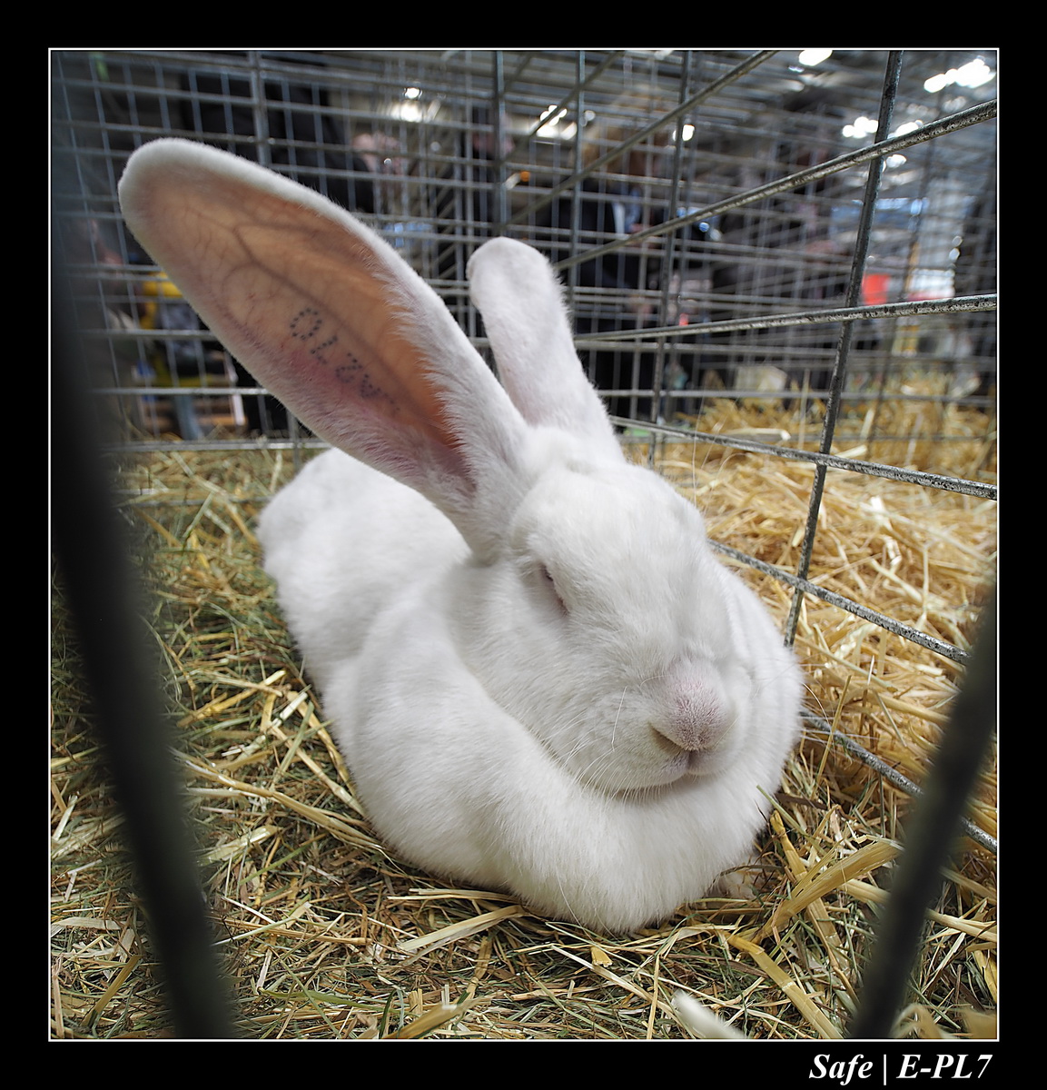 2020 - 02 - Salon agriculture 21